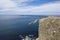 Bird taking flight from a cliff in cornwall