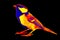 Bird tit in scientific high-tech thermal imager