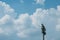 Bird about to land on tall sports arena lighting with blue summer sky and fluffy white clouds