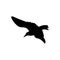 Bird vector icon. fly illustration sign. food symbol. meat logo.