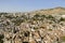 Bird view of the Albaicin in Granada