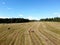 Bird view to rural summer field with many rolled haystacks and the forest on skyline on bright sunny day under blue cloudless sky