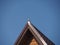 Bird Wagtail on the ridge of the roof of the house in the blue sky.