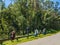 Bird Watchers on the Blue Ridge Parkway