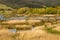 Bird watching in the Bird Center of the biosphere reserve of Urdaibai