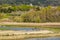 Bird watching in the Bird Center of the biosphere reserve of Urdaibai