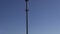 Bird white stork (Ciconia ciconia) on sea beach lamp