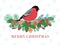 Bird winter banner. Christmas forest, bullfinch on natural branch border. Holiday berries cone, traditional new year