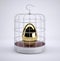 Birdcage with golden egg inside