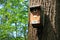 Birdhouse in the autumn forest