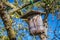 Birdhouse Bird nest box, hanging on a tree