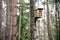 Birdhouse for birds on a tree in the forest. Home for bird in wildlife