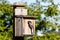 Birdhouse and Black-capped Chickadee