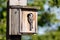 Birdhouse and Black-capped Chickadee