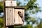 Birdhouse and Black-capped Chickadee