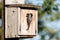 Birdhouse and Black-capped Chickadee