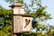 Birdhouse and Black-capped Chickadee