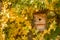 Birdhouse and colorful autumn leaves