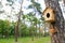 Birdhouse with a feeder in the woods