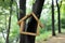 Birdhouse in forest