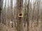 Birdhouse in forest