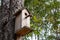 A birdhouse for forest birds on a conifer