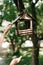 birdhouse in the forest, feeder, birds, wildlife, spring