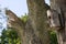 Birdhouse hanging on tree