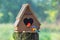 Birdhouse have a heart-shaped entrance and two love bird made fr