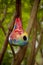 Birdhouse made from painted gourd