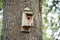Birdhouse or nesting box on a pine in the forest