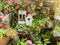 Birdhouse nestles among spring flowers