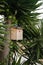 Birdhouse on palm tree, Nesting box