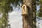 Birdhouse on a pine tree in the Park