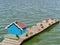 Birdhouse, river and wooden pier with ducks in summer