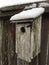 Birdhouse snow