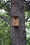 A birdhouse on a spruce tree.