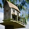 Birdhouse in a spruce tree