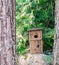 Birdhouse stands on the stone