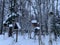 Birdhouse titmouse in a snowy forest - a closed artificial nest for small birds, Wooden houses on trees