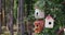 Birdhouse on a tree in beautiful forest, spring time