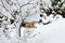 Birdhouse on a tree covered with snow