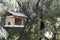 Birdhouse on a tree in forest Park, hand wood shelter for birds. Taking care of the birds.