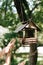 birdhouse on the tree and hands Birds wildlife