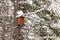 Birdhouse on a tree trunk. Winter