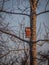 Birdhouse on the tree waiting for the starlings, on the eve of spring in the forest