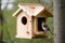 birdhouse with window that allows the birds to view their surroundings