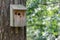 Birdhouse in wood sitting on a tree