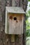 Birdhouse in wood sitting on a tree