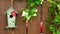 Birdhouse on wooden background and creeping plant.